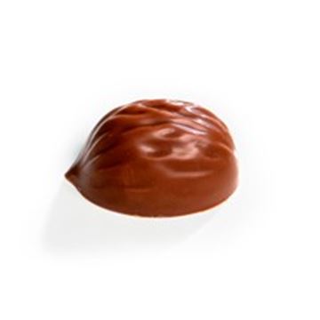 Molde Policarbonato Bombón 18 Nueces - 37x29x17.5Mm - MA1035-1