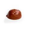 Molde Policarbonato Bombón 18 Nueces - 37x29x17.5Mm - MA1035-1
