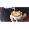 Café Kenon Grano Línea Bar - 1Kg - AB-1