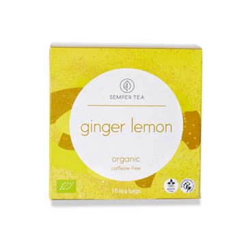 Infusión Ginger Lemon - 15 Pirámides - AB2226_1