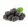 Mora Gelso Nero Entera - 2x2.5Kg - 115009HC_1