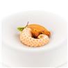 Molde Silicona Polpo20 Pulpo - 60x55x20Mm - 36.357.36.0065_3