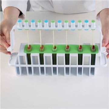 Kit Moldes 6 Polos Helado L´Italiano - 55x105x22Mm - 25.365.99.0065_4