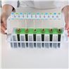 Kit Moldes 6 Polos Helado L´Italiano - 55x105x22Mm - 25.365.99.0065_4