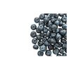 Arándano IQF Salvaje Europa - 2x2.5Kg - 115003HC-1